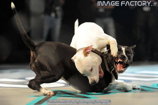 2011-05-07 Milano in the cage 0353 Mixed Martial Arts - Miscellaneous